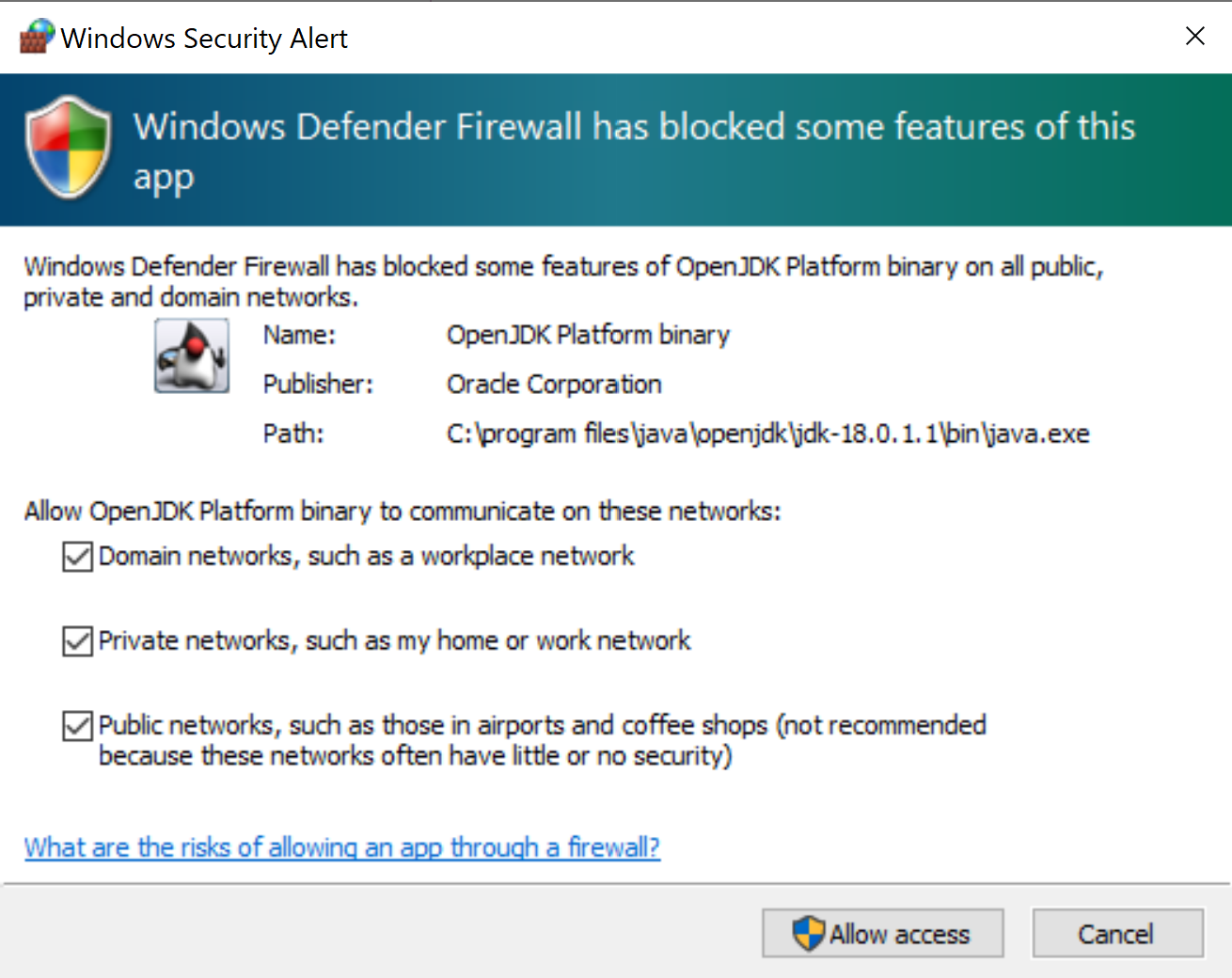 documentation/images/WindowsDefenderFIrewallJavaPermissions.png